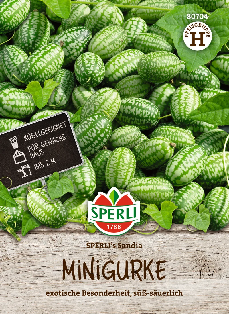 Minigurke Sandia Saatgut