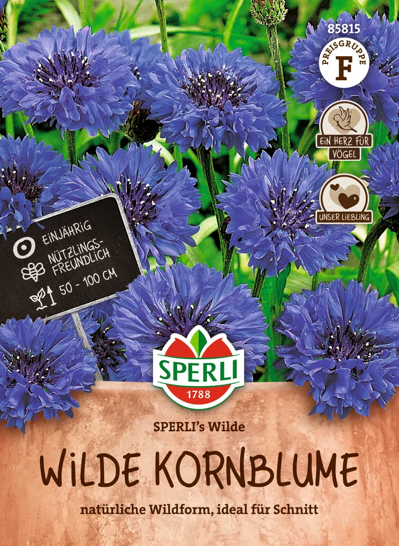 Wilde Kornblume Wilde Saatgut