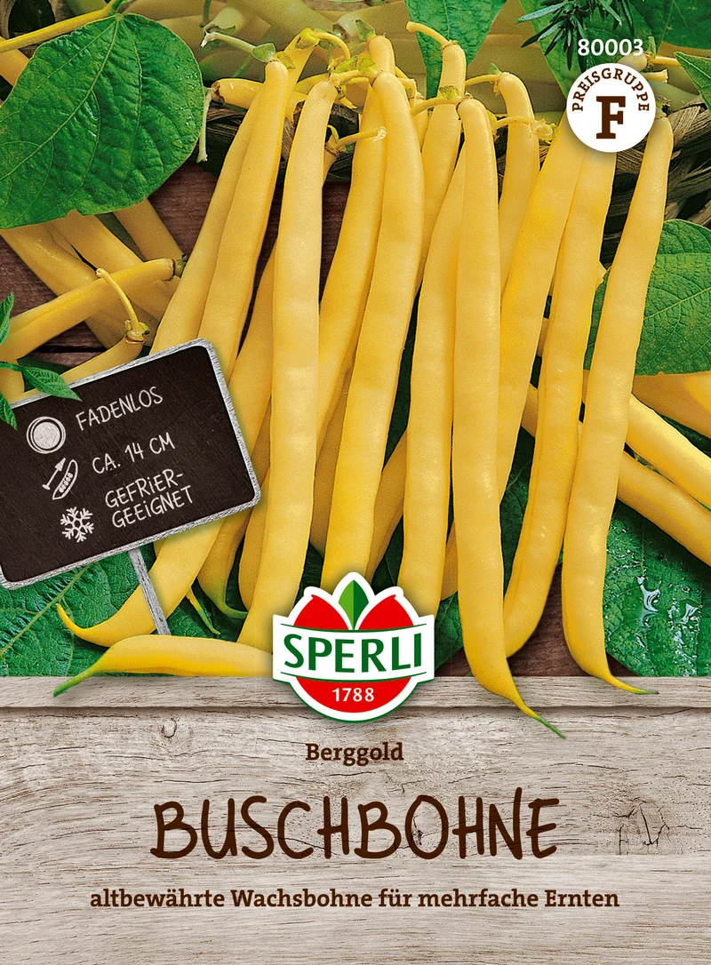 Buschbohne Berggold Saatgut