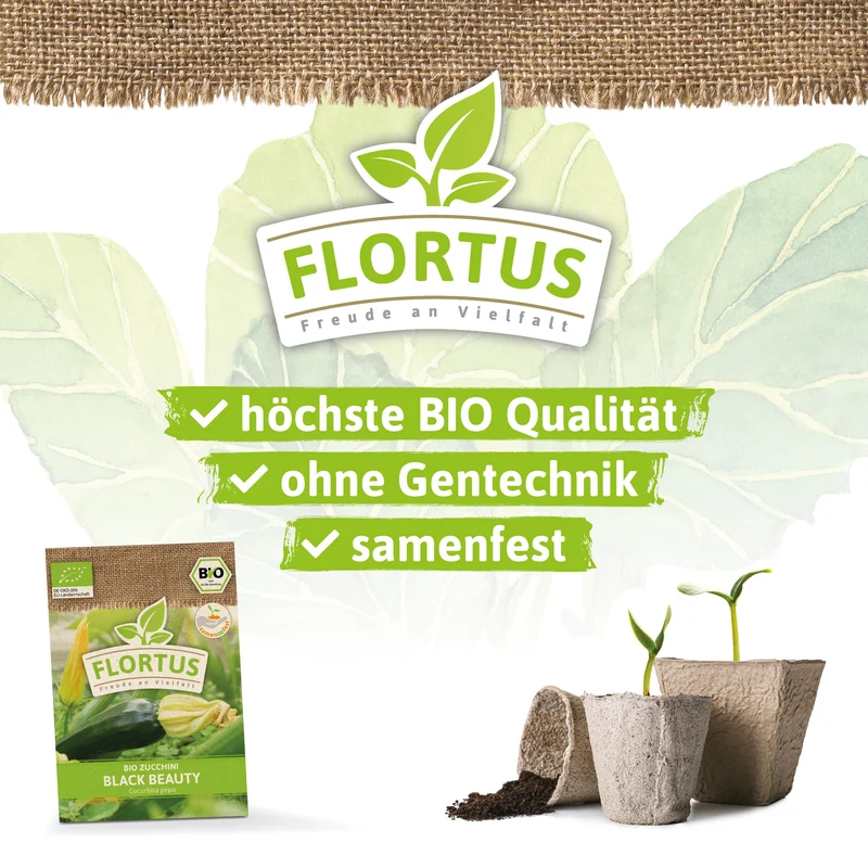 Zucchini Black Beauty | BIO Zucchinisamen von FLORTUS