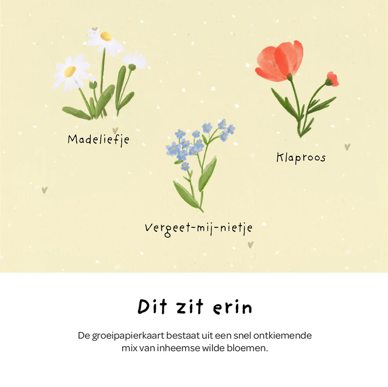 Wenskaart - Hallo zonnestraaltje