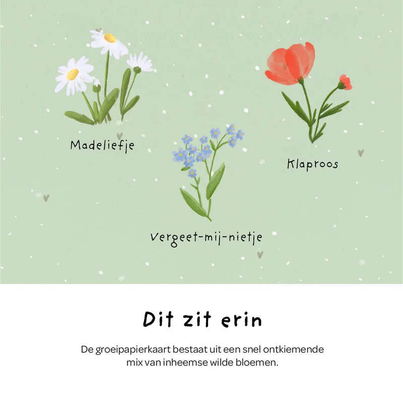 Wenskaart - Veel geluk!