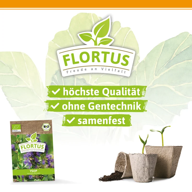 Ysop | BIO Kräutersamen von FLORTUS