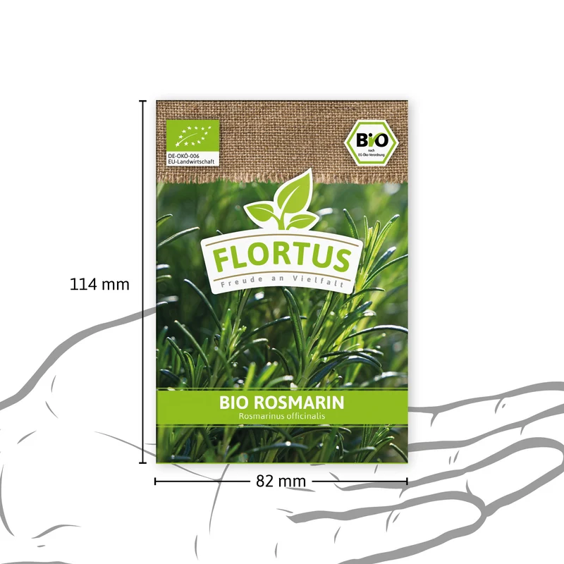 Rosmarin | BIO Rosmarinsamen von FLORTUS