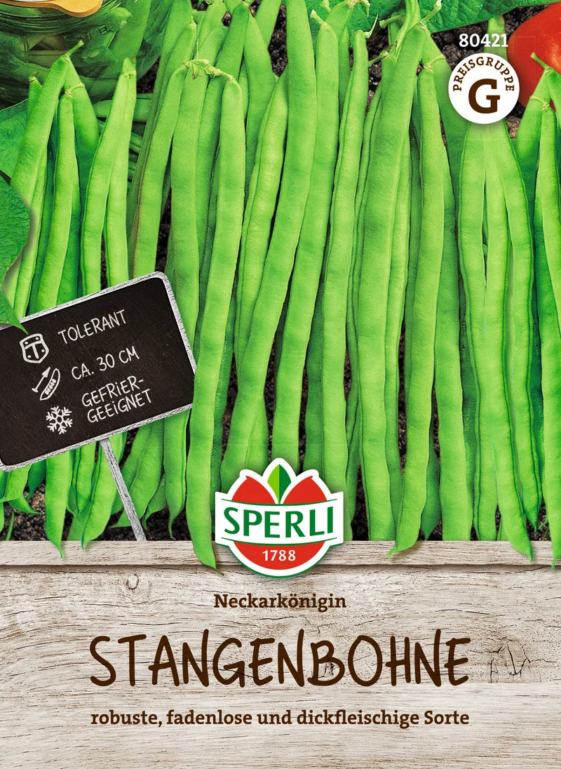Stangenbohne Neckarkönigin Saatgut