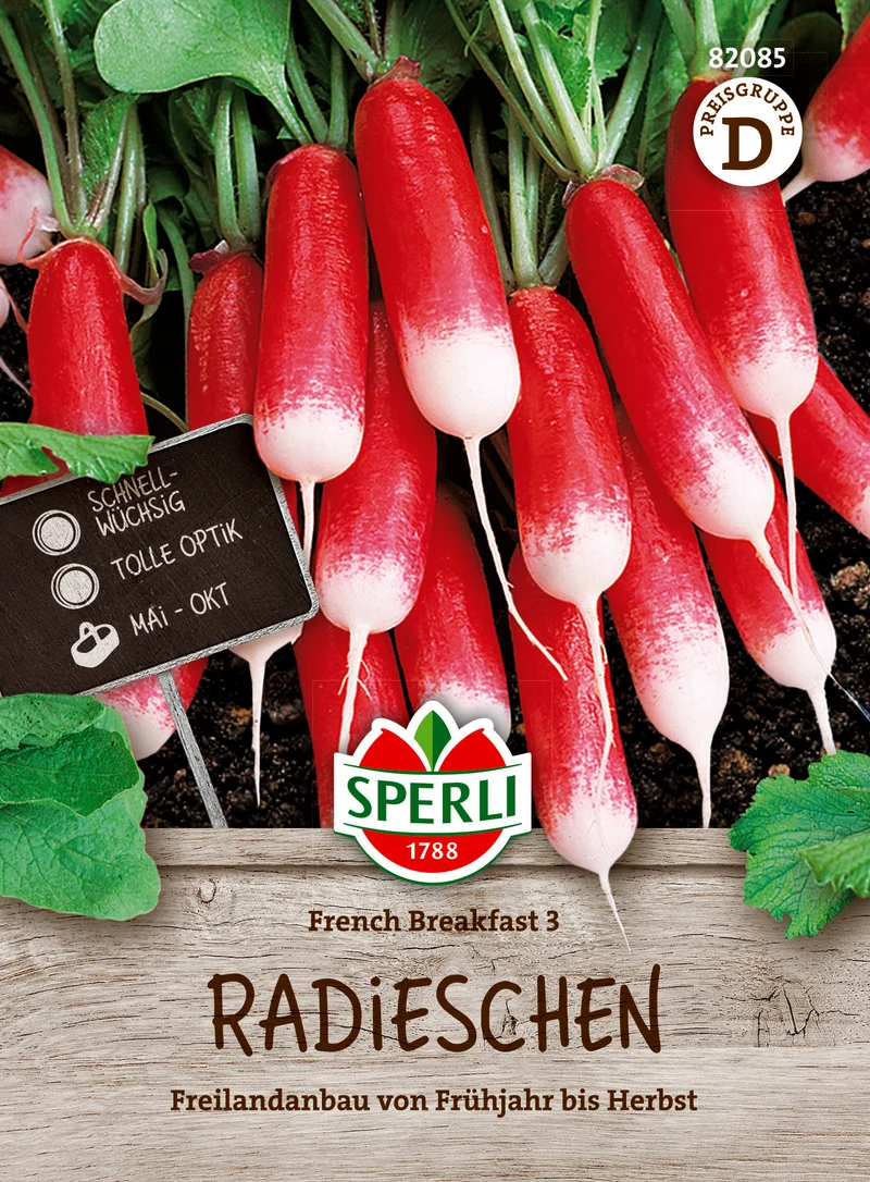 Radieschen French Breakfast 3 Saatgut