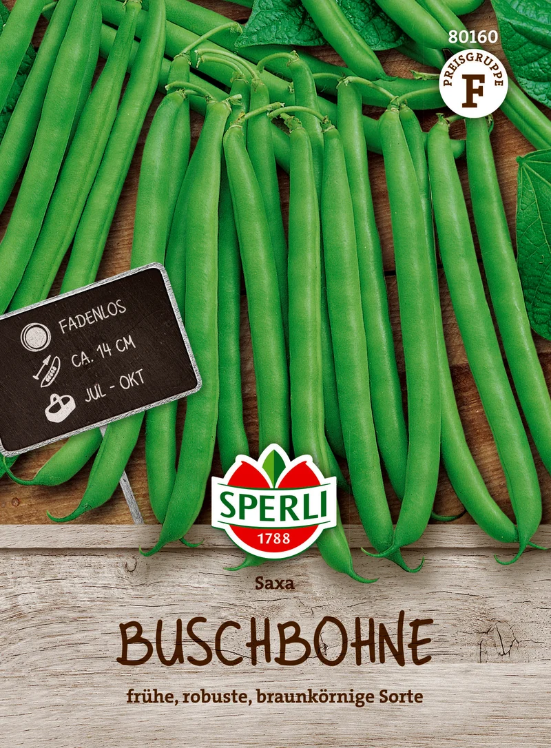 Buschbohne Saxa Saatgut