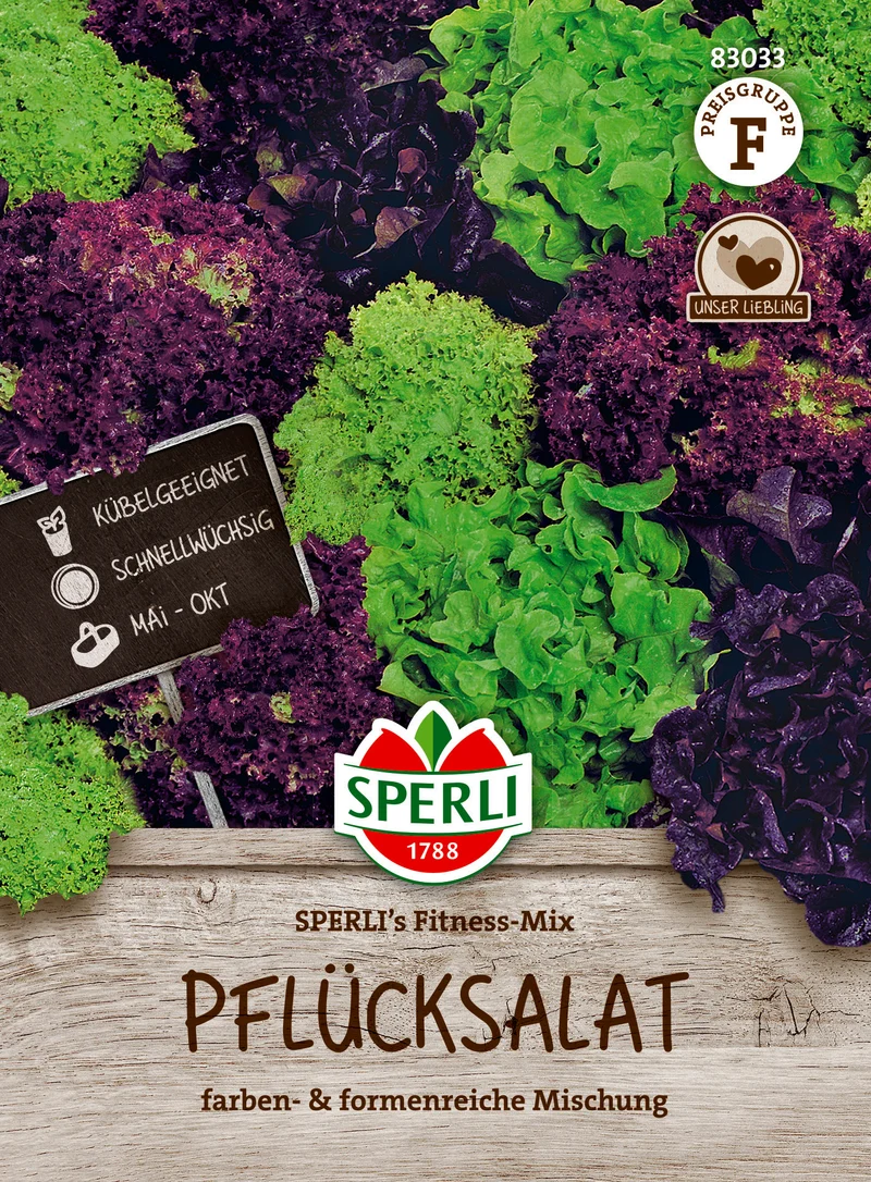Salat Salatmischung Saatgut