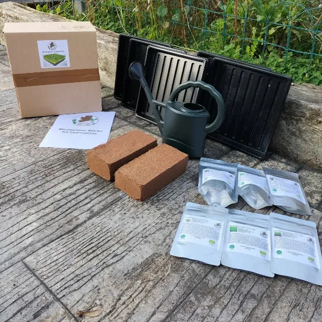 Microgreens Starter Kit