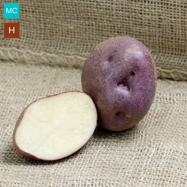 Seed Potatoes: Arran Victory