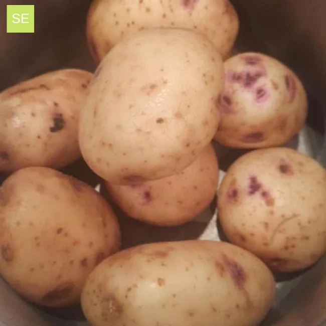 Seed Potatoes: Irish Gold