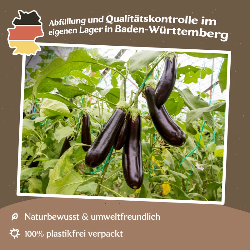 Aubergine Early Long Purple 3 Samen MHD 06/27