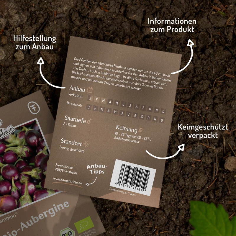 Bio-Aubergine Bambino Samen