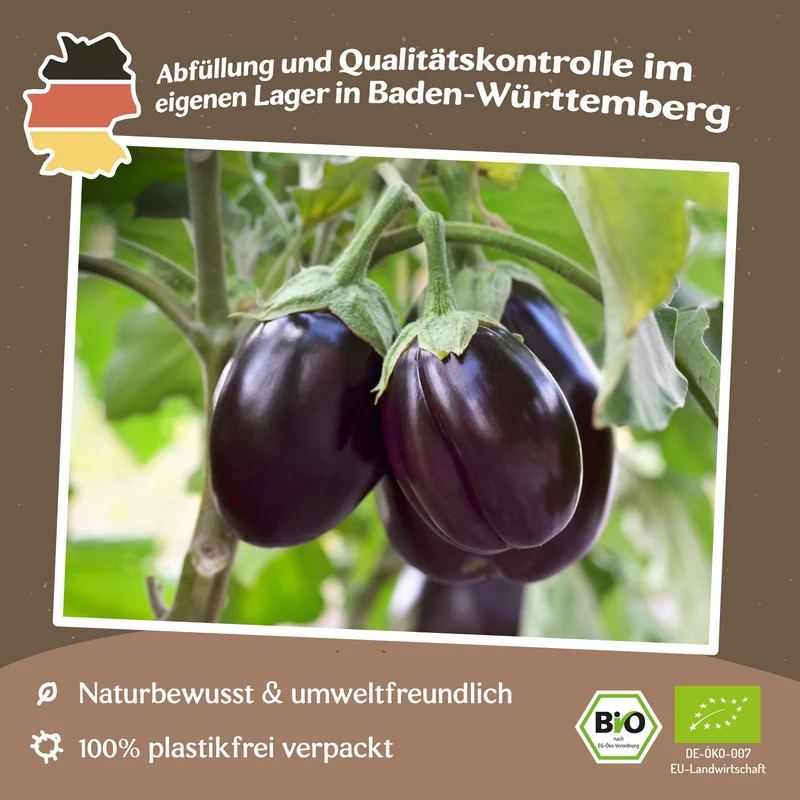 Bio-Aubergine Benarys Blaukönigin Samen