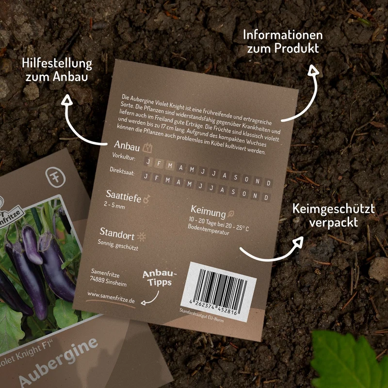 Aubergine Violet Knight F1 Samen