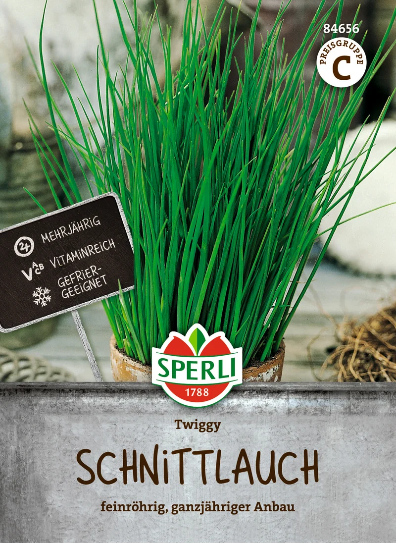 Schnittlauch Twiggy Saatgut