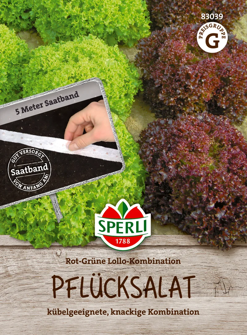 Salatsamen Rot Grüne Lollo Kombination Saatband