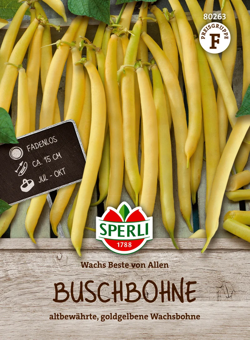 Buschbohnensamen Wachs Beste von Allen Saatgut