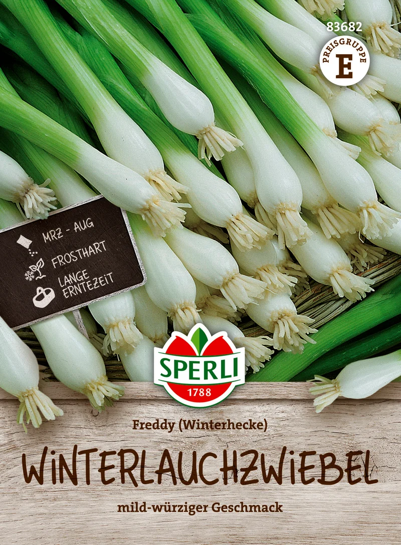 Winterlauchzwiebel Freddy Winterheckenzwiebel Saatgut