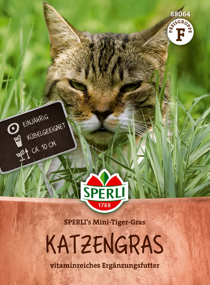 Katzengras Mini Tiger Gras Saatgut