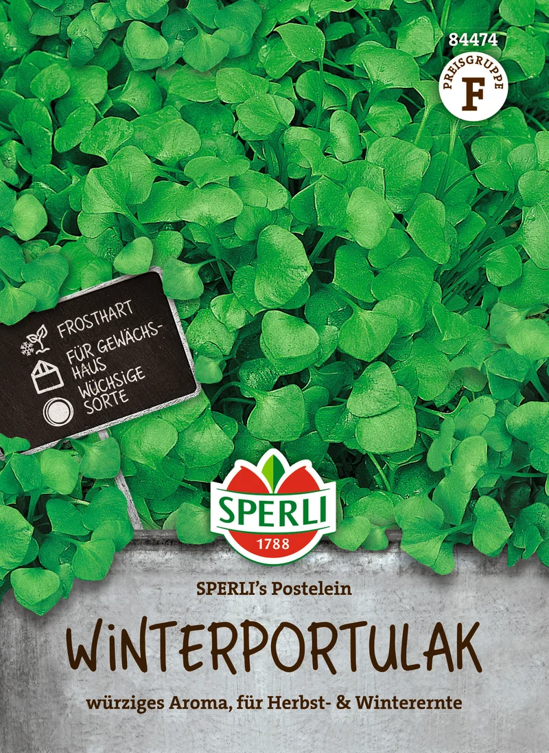 Winterportulak Postelein Saatgut