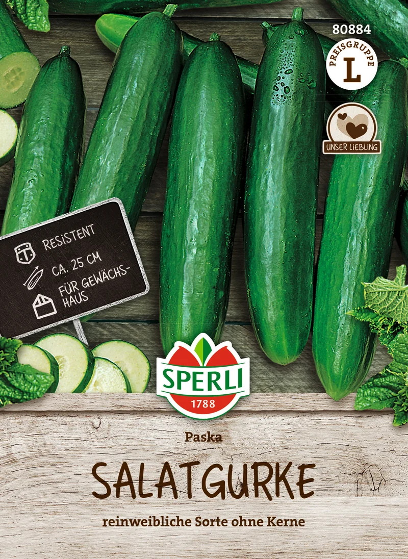 Salatgurke Paska F1 Saatgut