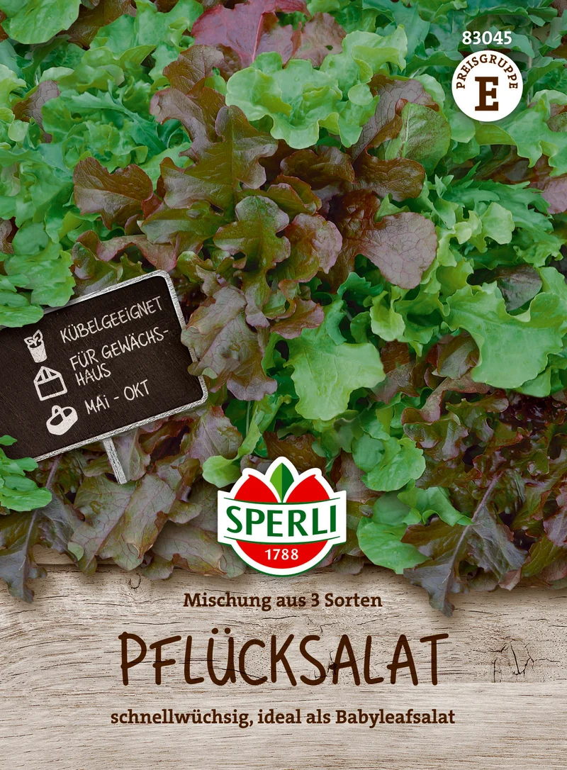 Pflücksalat Mischung aus 3 Sorten Saatgut