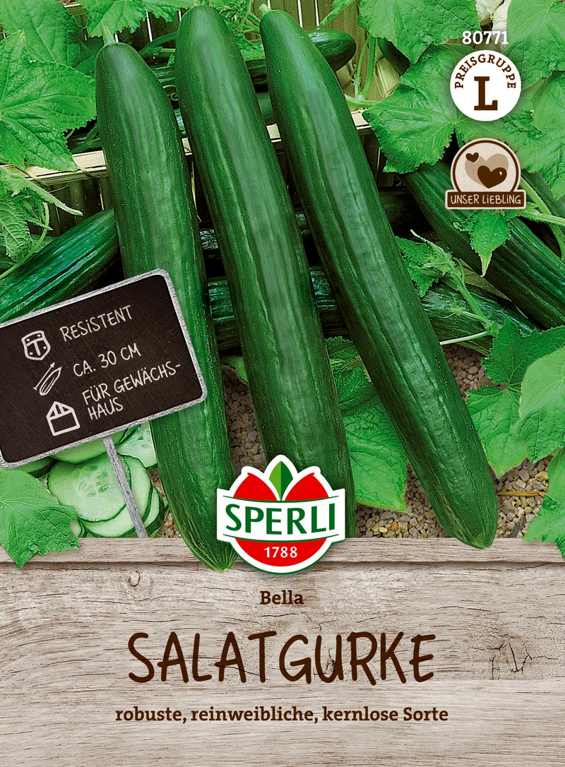 Salatgurke Bella F1 Saatgut
