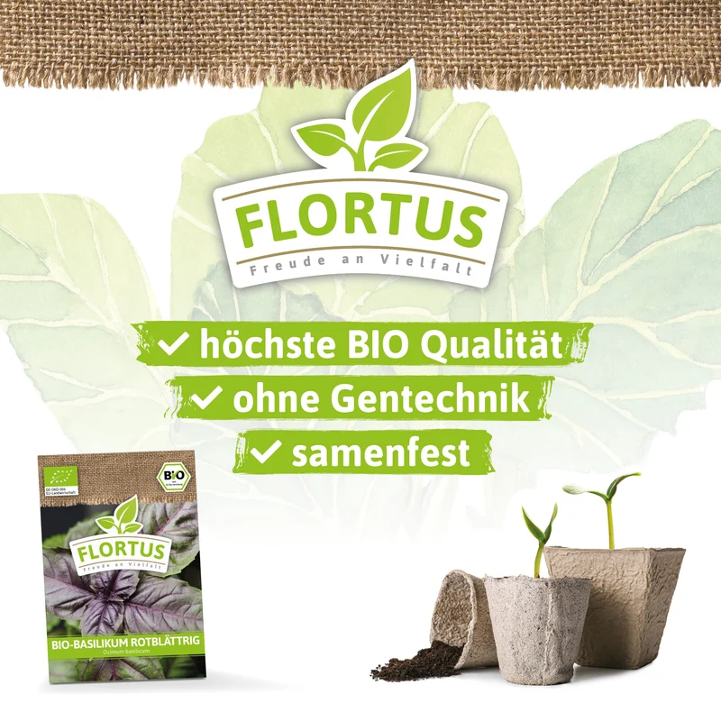 Basilikum rotblättrig | BIO Basilikumsamen von FLORTUS