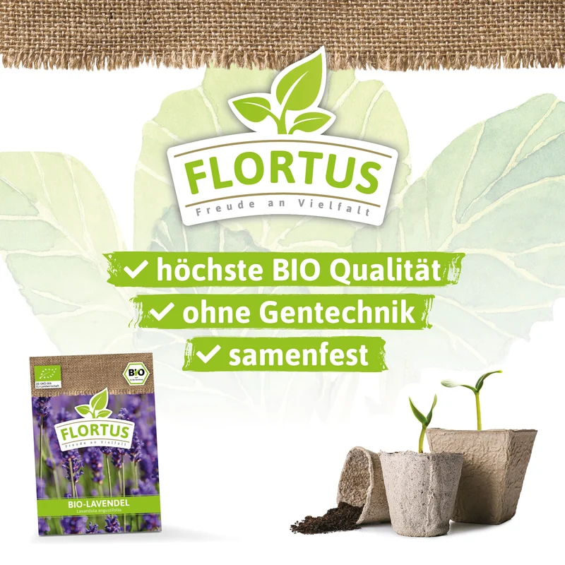 Lavendel | BIO Lavendelsamen von FLORTUS
