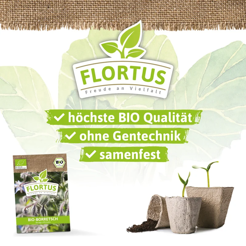 Borretsch | BIO Borretschsamen von FLORTUS