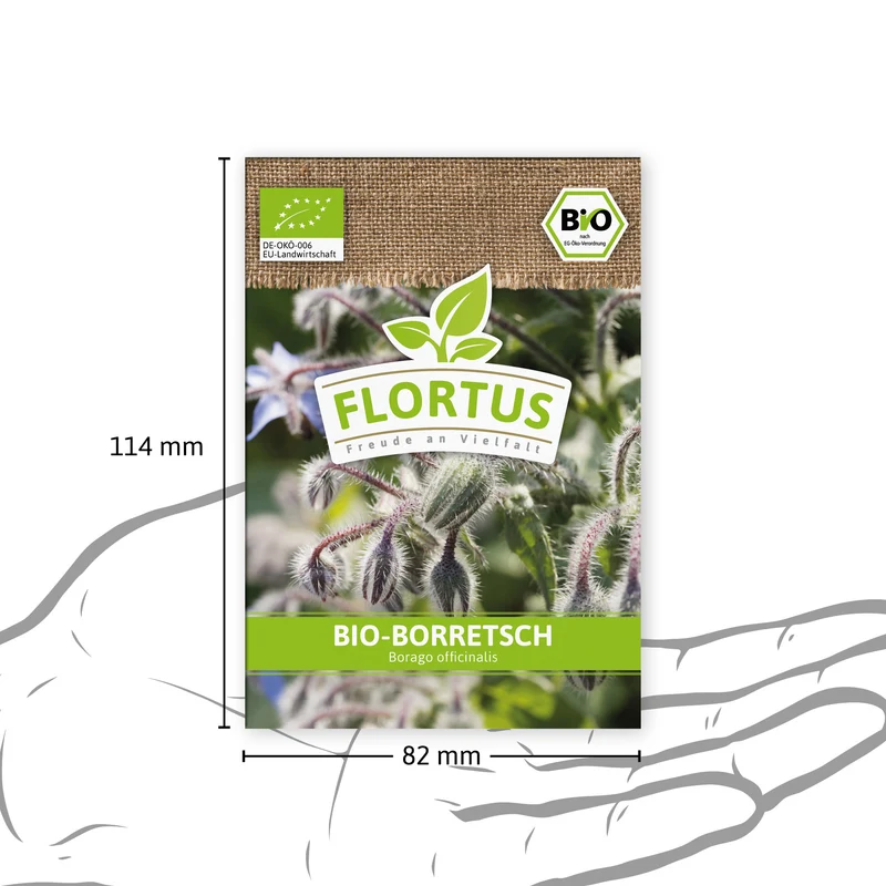 Borretsch | BIO Borretschsamen von FLORTUS