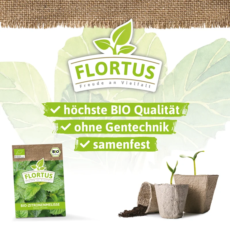 Zitronenmelisse | BIO Melissensamen von FLORTUS