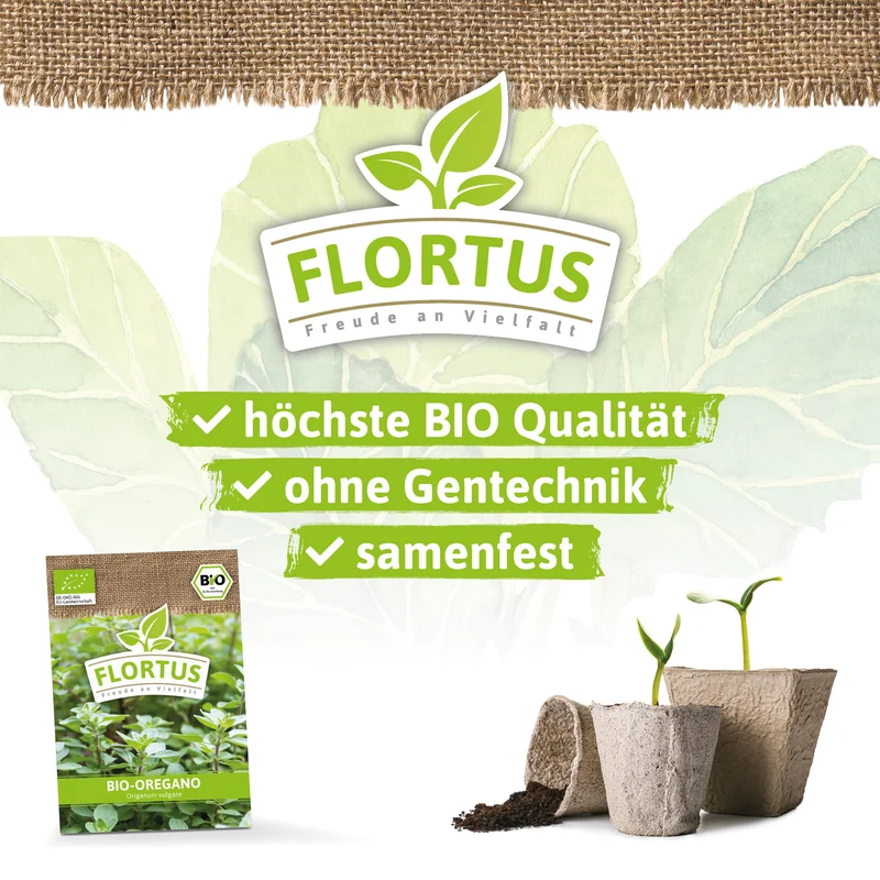 Oregano | BIO Oreganosamen von FLORTUS