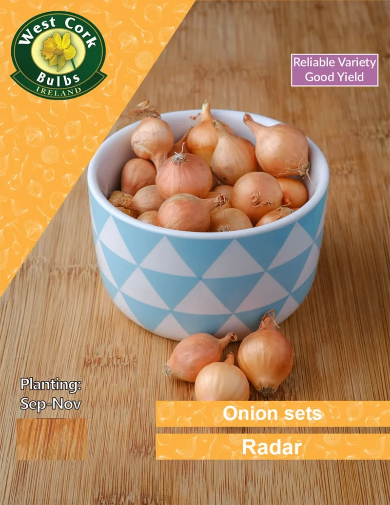 Onion Sets: Radar