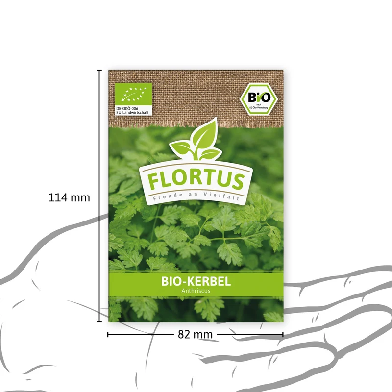 Kerbel | BIO Kerbelsamen von FLORTUS