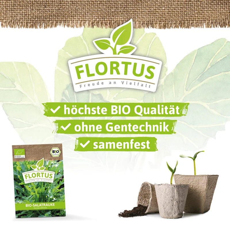 Salatrauke | BIO Salatraukesamen von FLORTUS