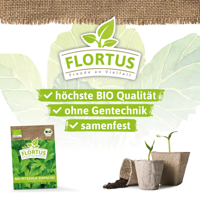 Petersilie einfache | BIO Petersiliensamen von FLORTUS