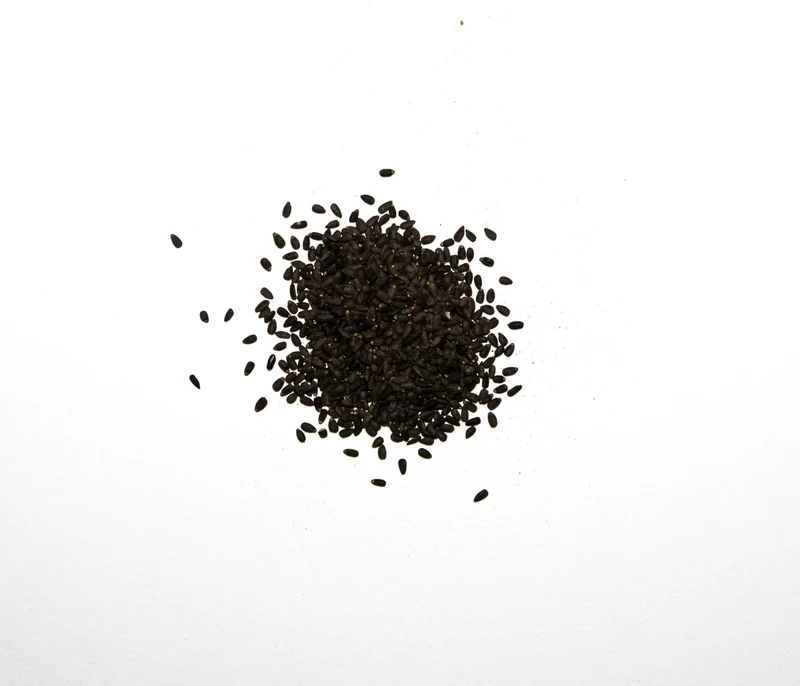 400 Samen Echter Ysop Hyssopus officinalis Eisenkraut