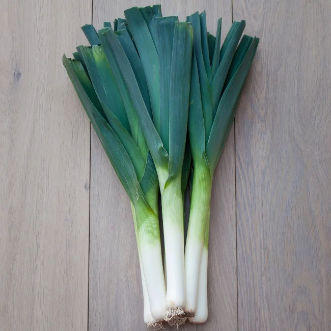 Leek: Freezo Organic Seed