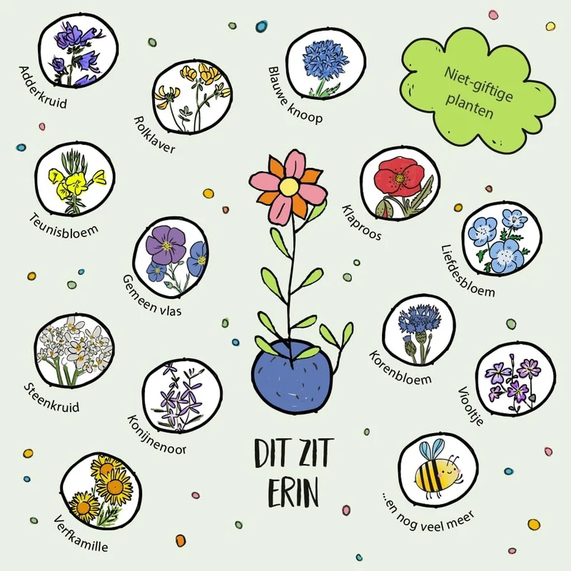 Rudolphneuzen – Bloemenknikkers | Rode zaadballetjes