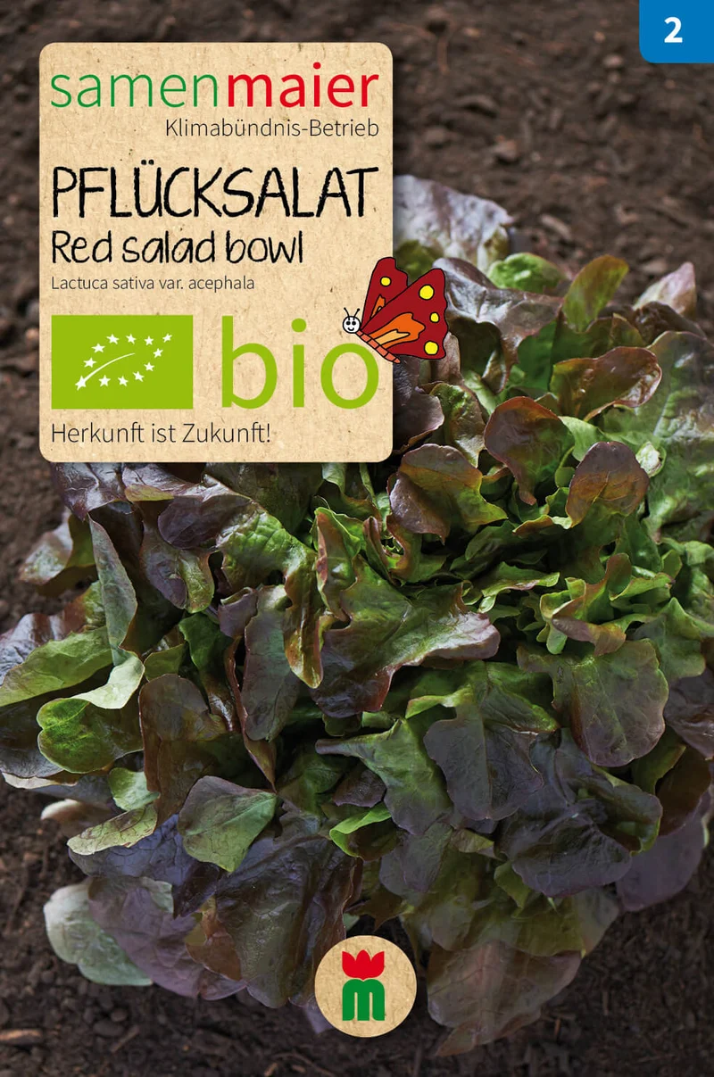 Beet-Box "Für Balkonien-Urlauber" | BIO Gemüsesamen-Sets von Samen Maier