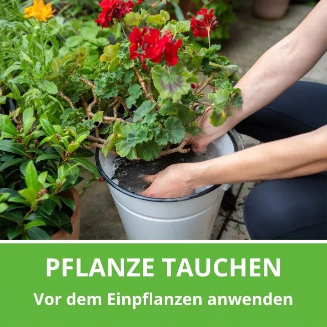 EM-Tauchbad-Set