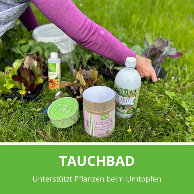 EM-Tauchbad-Set