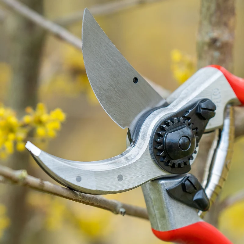 Baum-, Reb-, Gartenschere FELCO 2