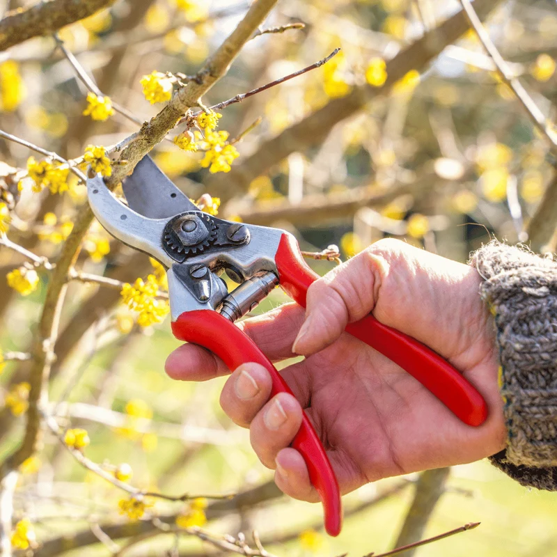 Baum-, Reb-, Gartenschere FELCO 2