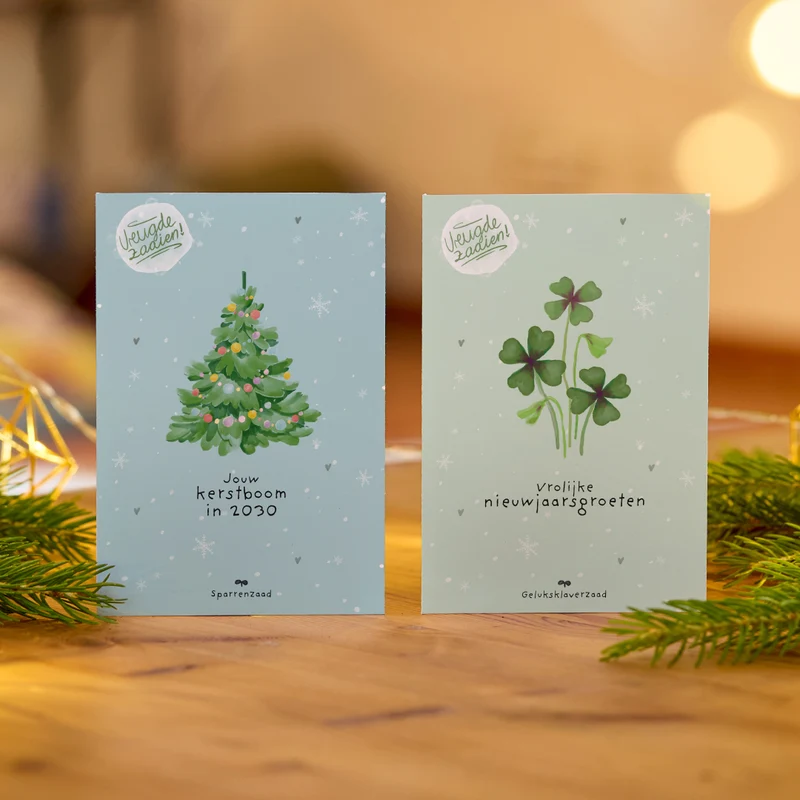 Fichtenzaad "Kerstboom 2030" | Zaden om een fijnspar te planten