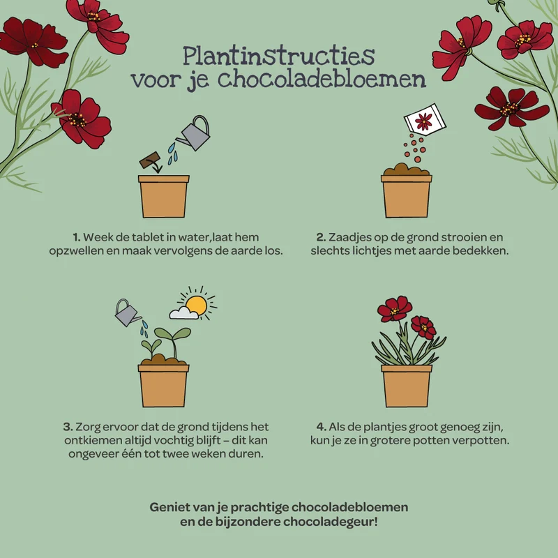 Kweekset voor chocoladebloemen