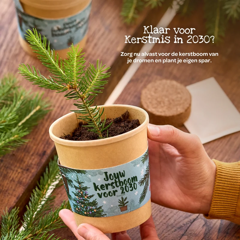 Cadeau "Jouw Kerstboom 2030"
