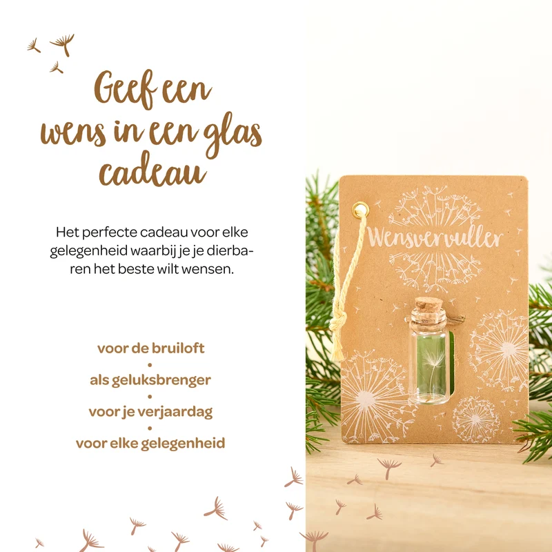 Klein wenspotje | Echt paardebloem-pluisje in glas